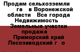 Продам сельхозземли ( 6 000 га ) в Воронежской области - Все города Недвижимость » Земельные участки продажа   . Приморский край,Лесозаводский г. о. 